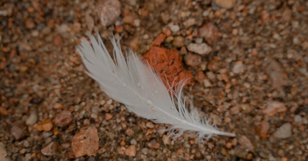 水木しげるの妖怪マンガの世界観。優しくユーモラスな妖怪たちが登場するまんが風の柔らかいイラスト。