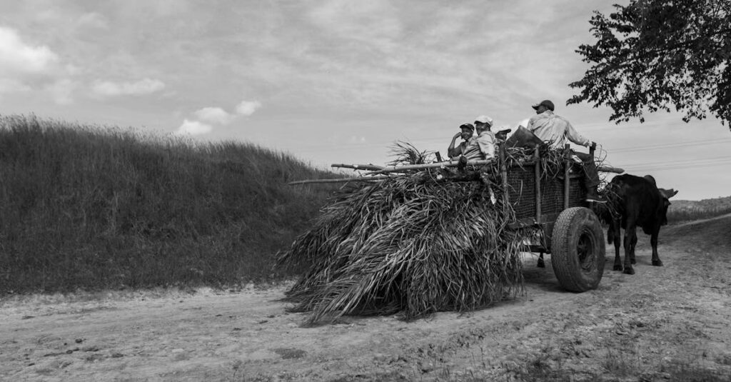 時代を超えて語り継がれる銀河鉄道999、メーテルと鉄郎の終わらない心の旅