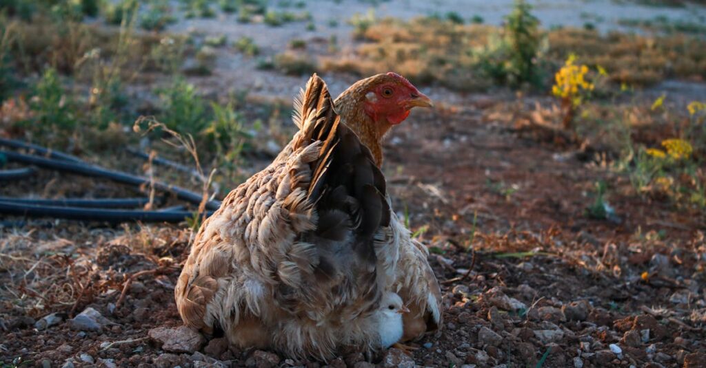銀河鉄道で旅を見守る車掌、無言ながらも安心感と信頼を感じさせる存在