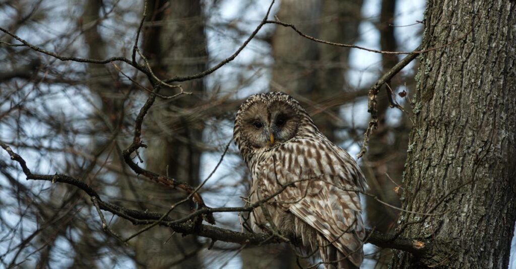 静かに佇みながら深い哲学を語るような銀河鉄道の車掌の後ろ姿、余韻と尊厳に満ちた情景