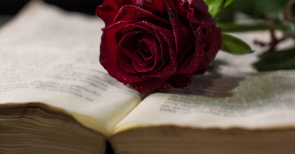 『あしたのジョー』ラストシーンに込められた作家の意図と象徴表現を感じさせるイメージ