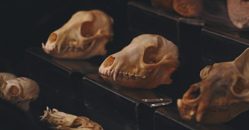 手塚治虫作品を原作マンガ、アニメ、電子書籍、記念館といった多様な方法で楽しむ様子を描いたやわらかいイメージ。