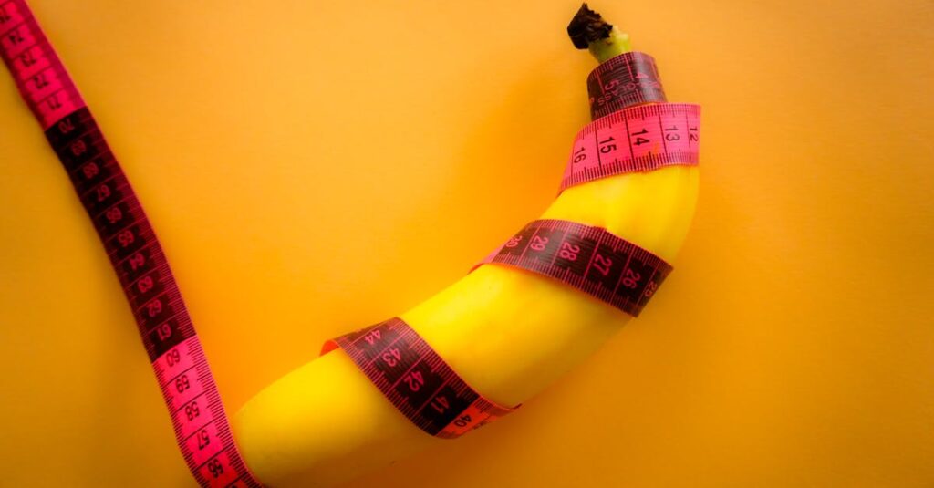 藤子不二雄Aと藤子F不二雄の作風を象徴する対照的なイラスト。明るく希望に満ちたFの世界と、影のあるAの世界が対比されている。